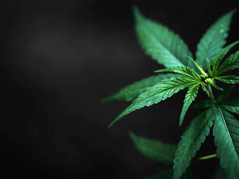 Queen-Anne-dispensary